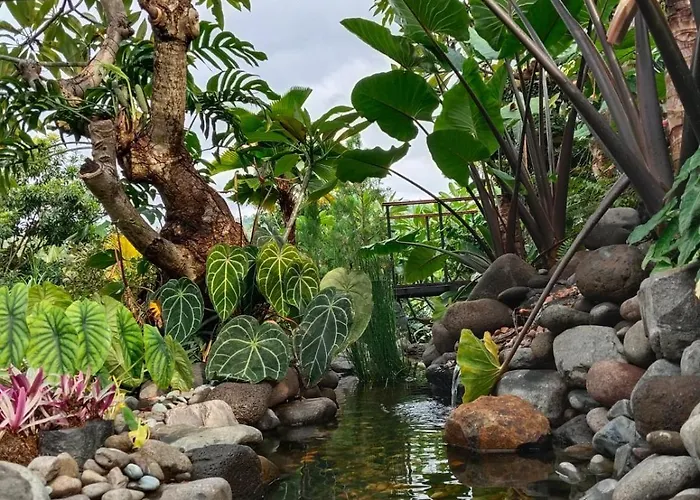 Hotel Aramaya Hills Boutique Banjar (Bali)